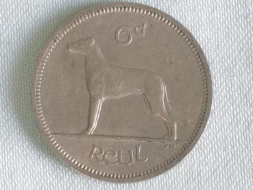 Preview: 6 Pence 1964, Pingin / 1 Reul "Irischer Wolfshund", Irland CuNi