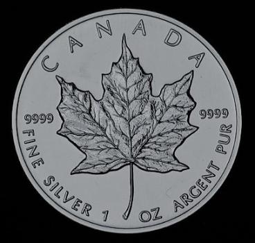 1 oz Maple Leaf 2005, Canada, 999er Feinsilber