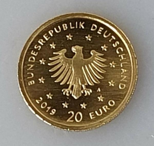 20 Euro Gold 2019 D Heimische Vögel "Wanderfalke" mit original Münzetui und Beschreibung, 1/8 oz Feingold 999,9